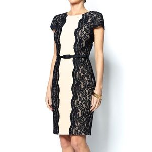 NEW Ivy & Blu Black & Nude Cocktail Dress